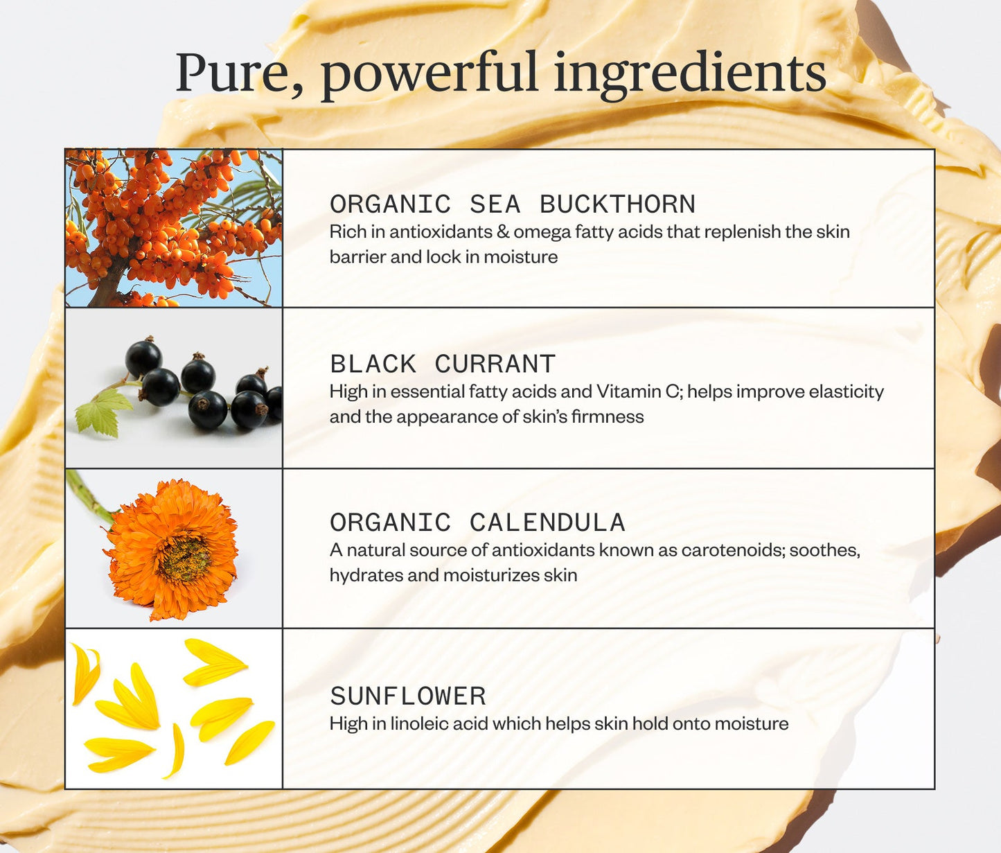 Ursa Major Golden Hour Recovery Cream